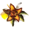 Брошь "Пиратский цветок" (Войлок, металл, бусины) Ручная авторская работа помощью иглы или мыльного раствора инфо 11404e.