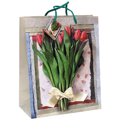 Пакет подарочный "Тюльпаны", 26 см x 33 см x 13 см 13670 бумага Изготовитель: Китай Артикул: 13670 инфо 602i.