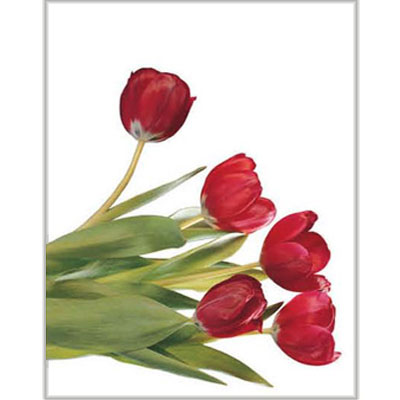 Пакет подарочный "Тюльпаны", 18 см x 23 см x 10 см 13683 пластик Изготовитель: Китай Артикул: 13683 инфо 610i.